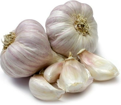 Garlic lover? It’s time to plant!