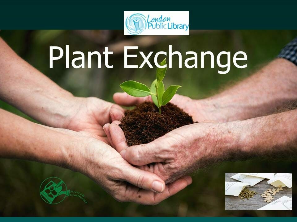 Library Plant exchanges