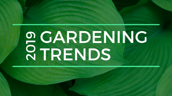 Gardening Trends 2019