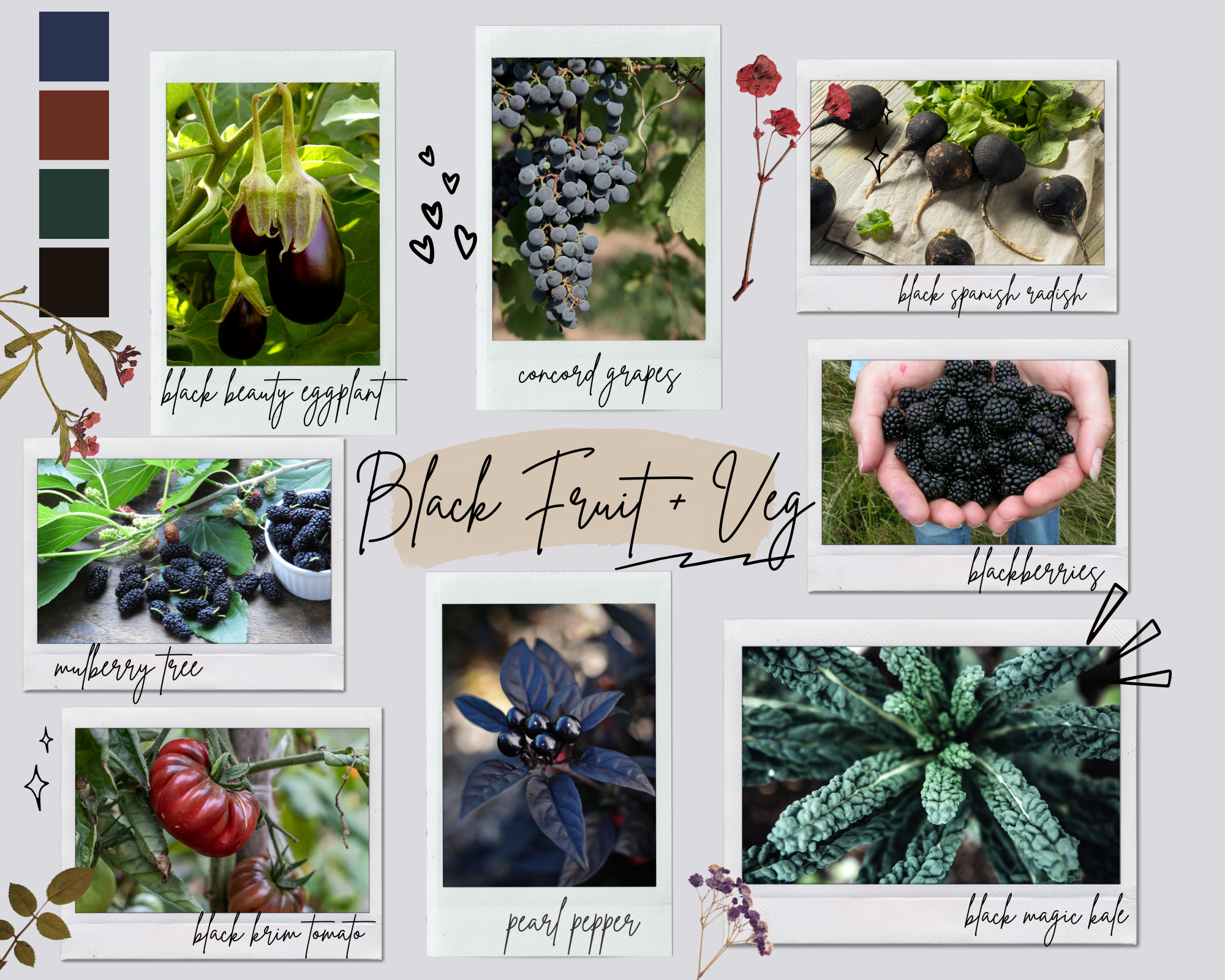 Black Fruit and Veg Photo Collage